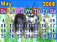 Calendar 11
