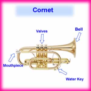 cornet