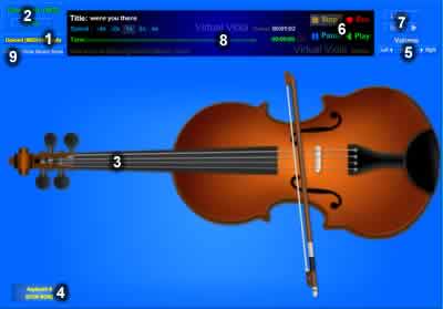   Viola