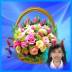 free ecard eflower animated (add photo) 4