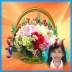 free ecard eflower animated (add photo) 6