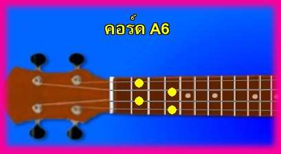 èѺ٤  A6 
