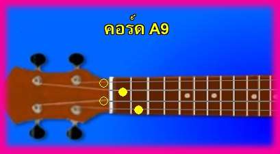 èѺ٤  A9 
