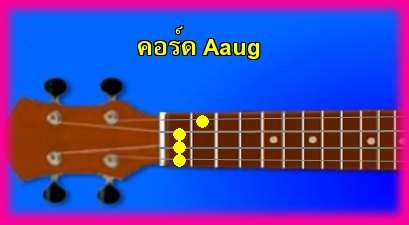 èѺ٤  Aaug 