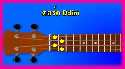 èѺ٤  Ddim 