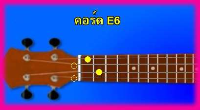 èѺ٤  E6 