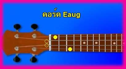 èѺ٤  Eaug 