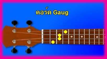 èѺ٤  Gaug 